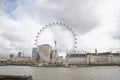 The beautiful London Eye