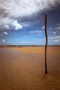 Beautiful lonely beach. A buried wooden stick