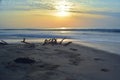 Beautiful long exposure photography of sunrise at sea shore with sea water coming over the sand Royalty Free Stock Photo