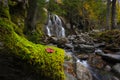 Red leaf on a moss covered tree in front of Moss Glen Falls Royalty Free Stock Photo