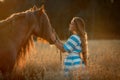 Beautiful young woman with red tinker horse in oats field