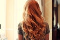 beautiful long hairs Royalty Free Stock Photo