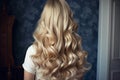 beautiful long hairs Royalty Free Stock Photo