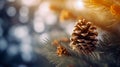 Beautiful long orange pine cone and branches, close - up macro shot at winter