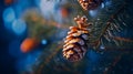 Beautiful long orange pine cone and branches, close - up macro shot at winter