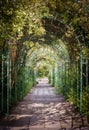 Beautiful long pergola in a large garden Royalty Free Stock Photo