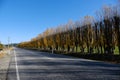 BEautiful long road at Newzealand