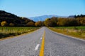 BEautiful long road at Newzealand