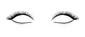 Beautiful long vector black eyelashes illustration isolated on white background Royalty Free Stock Photo