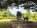 Beautiful long view of Elephants family cement sculptures in Garden