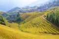 Longji rice terraces in Guangxi province, China Royalty Free Stock Photo