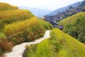 Longji rice terraces in Guangxi province, China Royalty Free Stock Photo