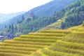 Longji rice terraces in Guangxi province, China Royalty Free Stock Photo