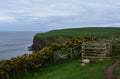 Scenic Look at the Coastal Walk Along the Sea Cliffs of St Bees