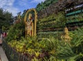 Beautiful Lord Tirupati Balaji mural idol isolated in Tirupati