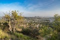 Beautiful Los Angeles skyline