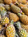 Beautiful a lot of fresh pineapple background and fresh fruit