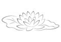 Beautiful lotus flower black silhouette with leaves in pond. Royalty Free Stock Photo