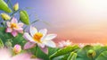 Beautiful lotus flower blooming with copy space Royalty Free Stock Photo