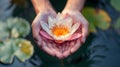 Beautiful lotus flower in female hands. Concept of relaxation, yoga,meditation, silence and calmness. Hand holding a lotus flower Royalty Free Stock Photo