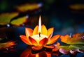 A beautiful lotus flower is illuminated by a candle on a dark background. Vector illustration. Royalty Free Stock Photo