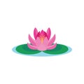 Beautiful lotus flower vector on white background.