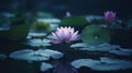 Beautiful Lotus that has been appreciated with the dark blue water surface. Generative AI