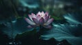 Beautiful Lotus that has been appreciated with the dark blue water surface. Generative AI