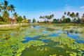 Beautiful lotus lagoon in Candidasa, Bali Royalty Free Stock Photo