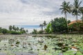 Beautiful Lotus Lagoon pond Royalty Free Stock Photo