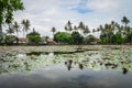 Beautiful Lotus Lagoon pond Royalty Free Stock Photo