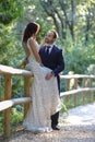 Stylish bride and groom at a park on their wedding day. Beautiful love story in nature, couple in love Royalty Free Stock Photo