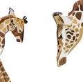 Beautiful lovely cute wonderful multicolor summer illustration of a baby giraffe with his giraffe mom vector Royalty Free Stock Photo
