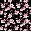 Beautiful lovely tender herbal wonderful floral summer pattern of a pink Japanese magnolia Royalty Free Stock Photo