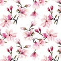 Beautiful lovely tender herbal wonderful floral summer pattern of a pink Japanese magnolia flowers watercolor hand illustration