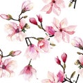 Beautiful lovely tender herbal wonderful floral summer pattern of a pink Japanese magnolia flowers watercolor hand illustration Royalty Free Stock Photo