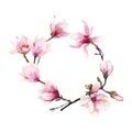 Beautiful lovely tender herbal wonderful floral summer wreath of a pink Japanese magnolia flowers watercolor hand illustration.