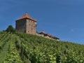 Beautiful low angle view of historic medieval castle Burg Wildeck in Baden-WÃÂ¼rttemberg, Germany, with vineyard in front.