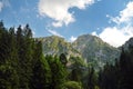 Beautiful Low Tatras landscape with forest in the foreground. Majestic pine trees of Tatra mountain range near Zakopane, Poland Royalty Free Stock Photo