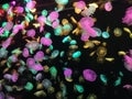 Beautiful luminous jellyfish Royalty Free Stock Photo