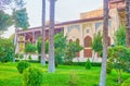 The tall pine trees in Chehel Sotoun Palace complex, Isfahan, Iran