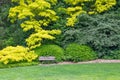 Beautiful Green Garden Setting With Wood Bench Royalty Free Stock Photo