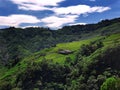 Lush Green Landscape In Lishan 