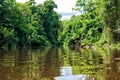 Jungle scenery in Tortuguero National Park in Costa Rica Royalty Free Stock Photo