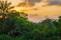 Beautiful lush green West African rain forest during amazing sunset, Liberia, West Africa Royalty Free Stock Photo