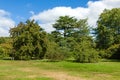 Beautiful Lush Green Woodland Garden