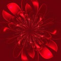 Beautiful lush red flower on red background.