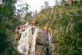 Beautiful lush tree ferns in the Australian bush with waterfall in background