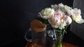 Beautiful and lush white peonies in a vase on a black background,