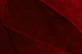 Beautiful luxury dark red patchwork velvet texture background cl Royalty Free Stock Photo